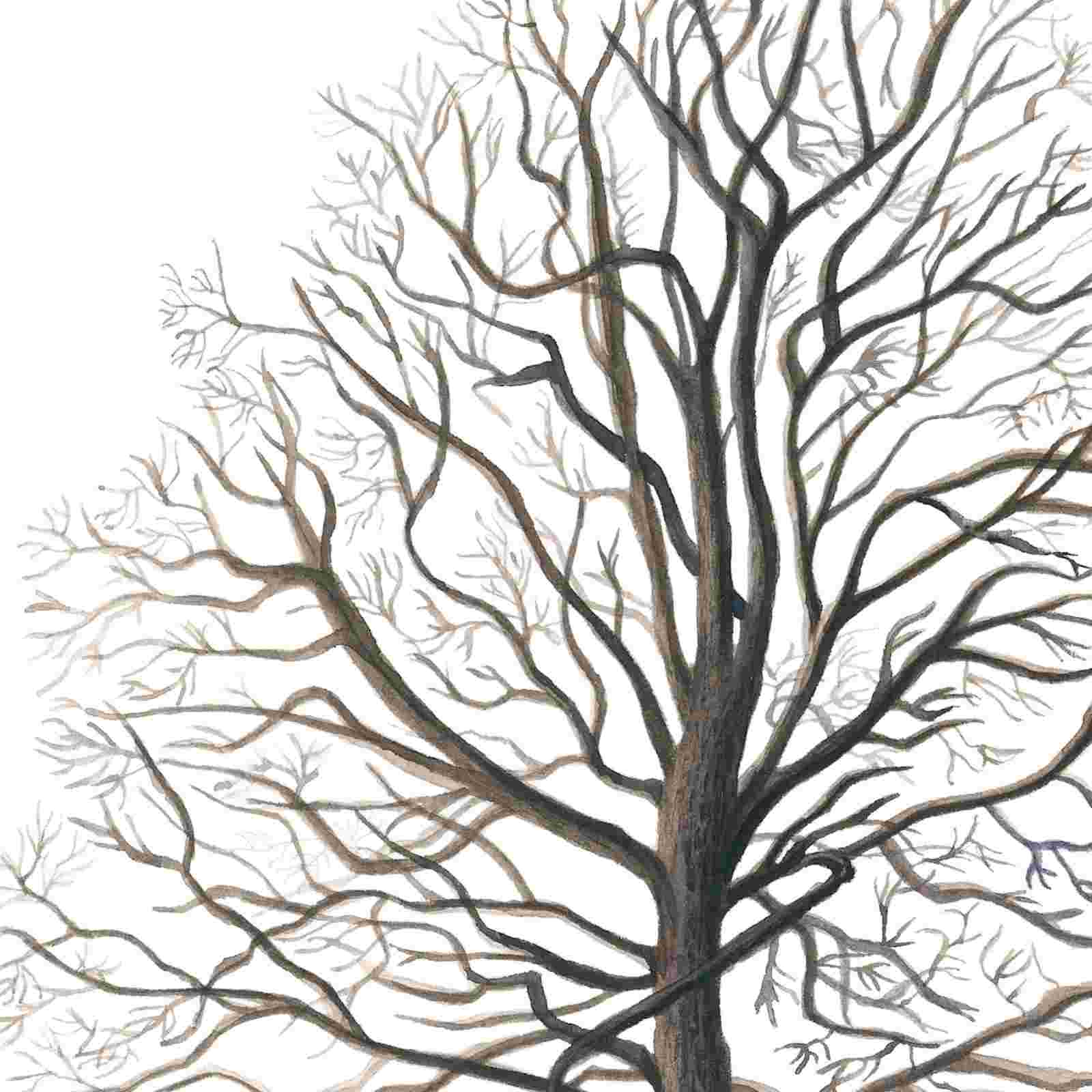 Painting 11