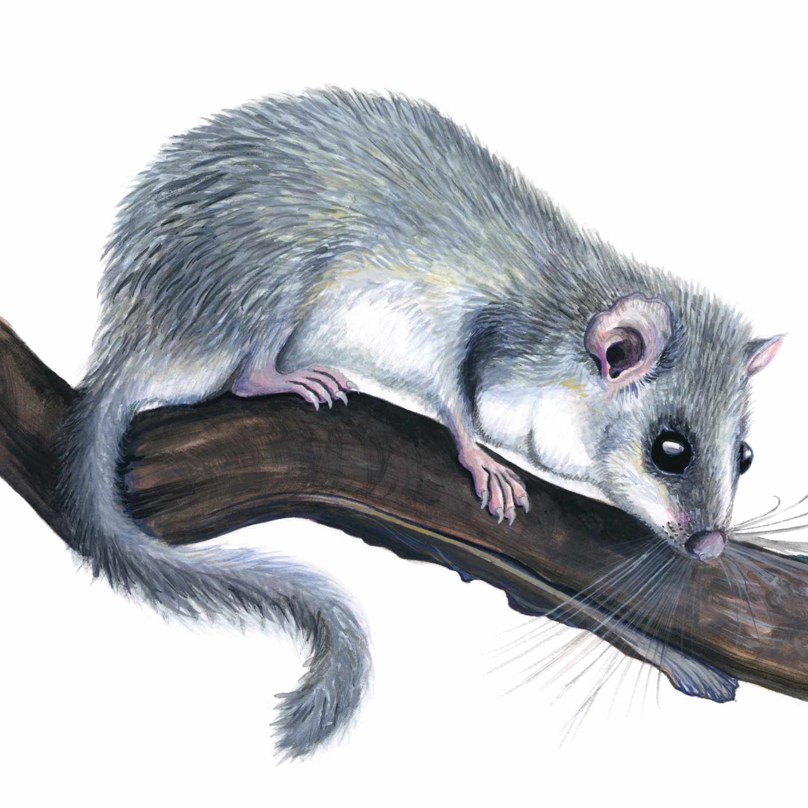Painting 2