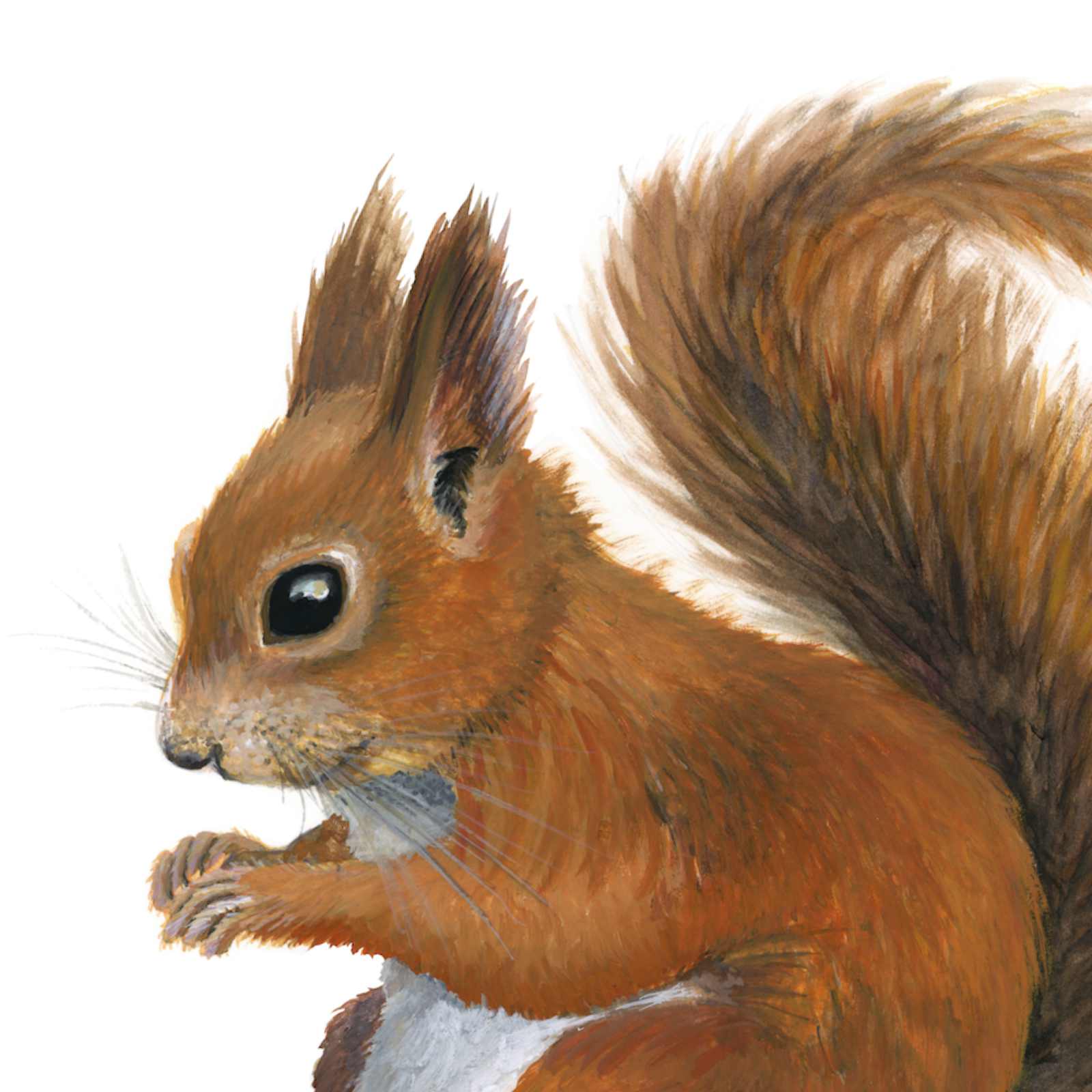 Painting 8