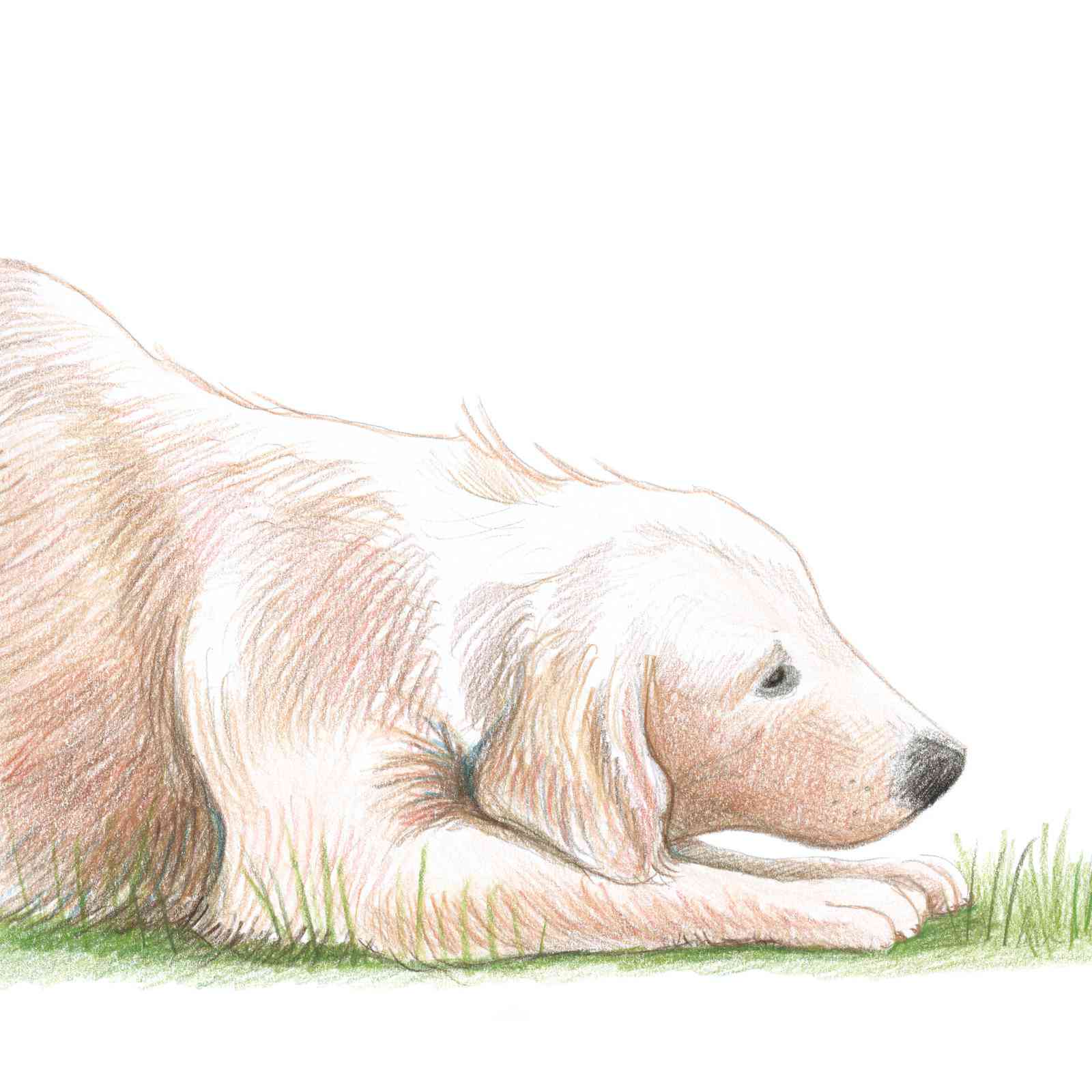Drawing 10