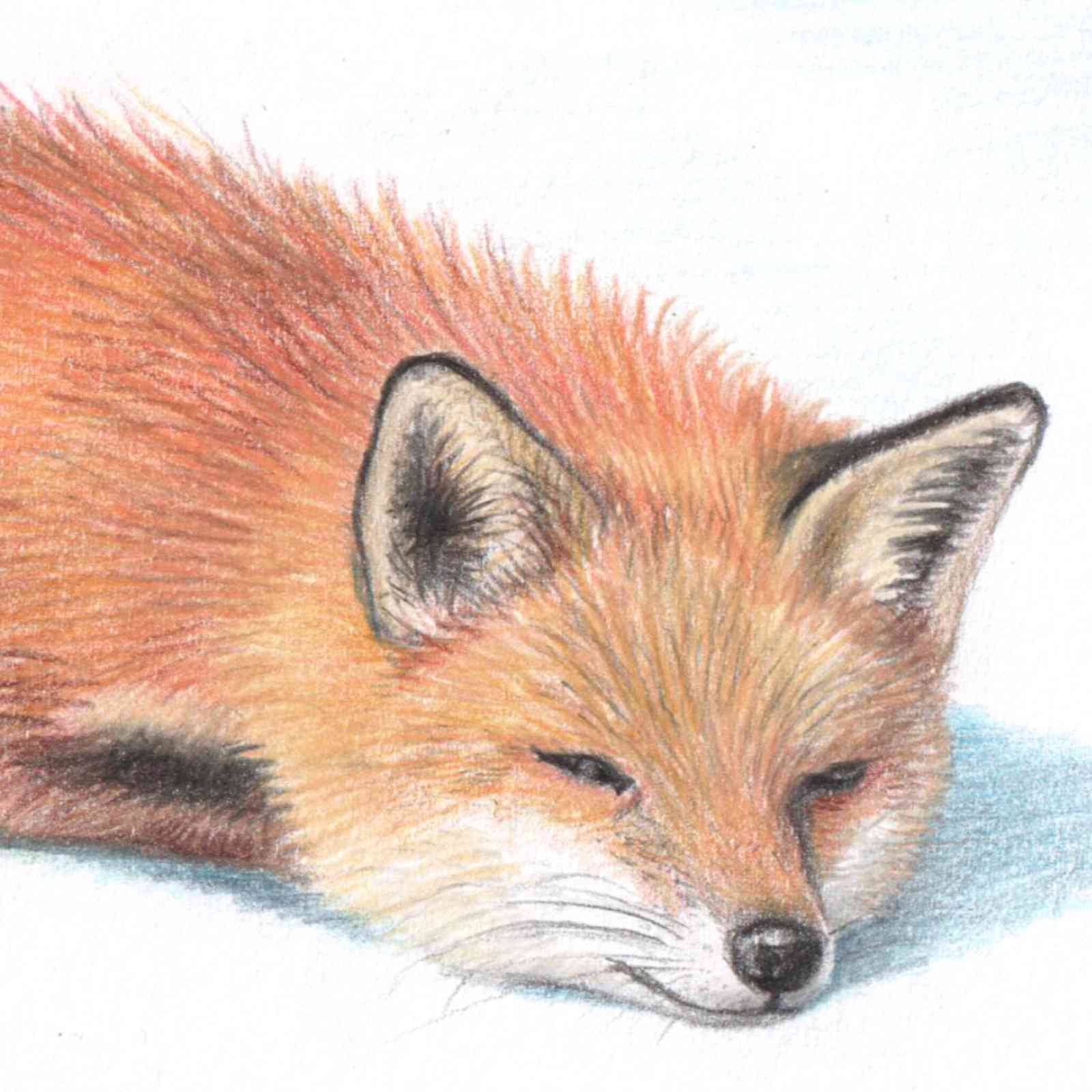 Drawing 13