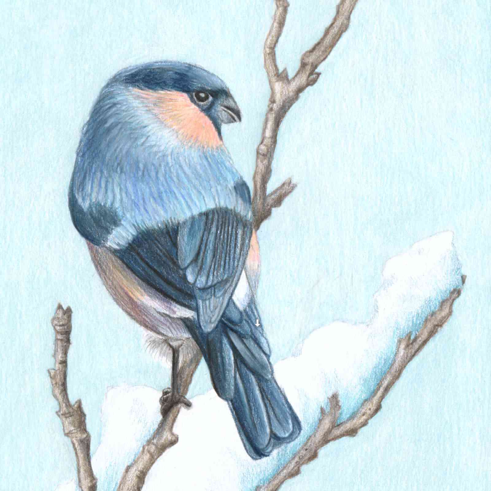 Drawing 16